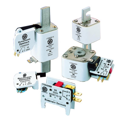 Fuses & fuse holders