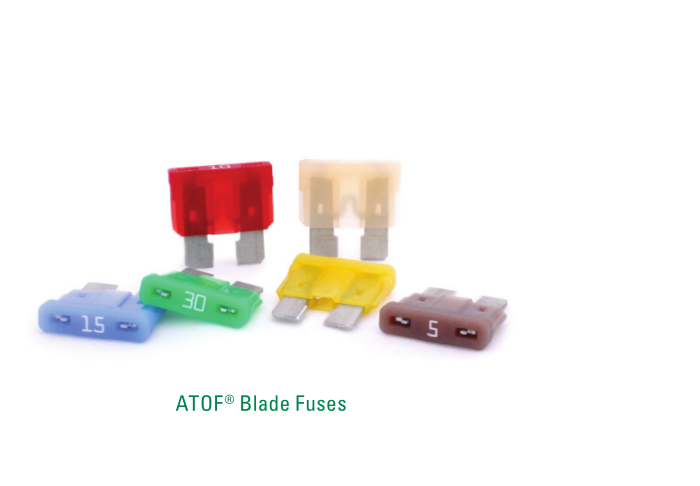 Fuses & fuse holders